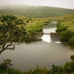 Horton Plains National Park