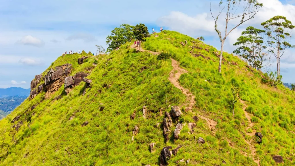 Liitle adams peak