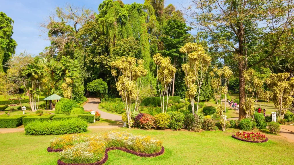 Peradeniya Botonical garden